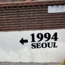 강인 농장 | [아프리카식물] 본투비가드너 born to be gardener! 연남동