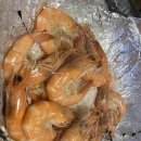 싱싱오징어바다 이미지