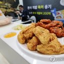 카톡호프