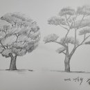 생활속의 조경이야기 이미지