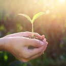 다원헬스케어 이미지