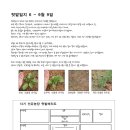 선유농장 이미지