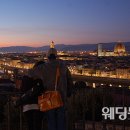 나유럽주 네이버블로그