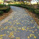 THE WAY 이미지