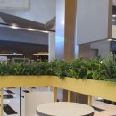 푸드인더박스 이미지