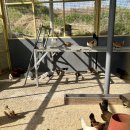 참우농장 이미지