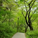 푸른들목장 이미지