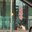 금빛송어횟집 이미지