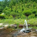 필봉농장 이미지