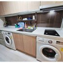 이화 스테이 이미지