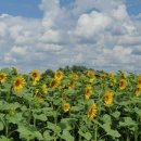 윤정 농장 이미지