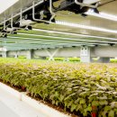 운용농장 이미지