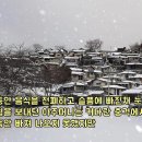 풍성식당 Daum카페