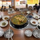 대구 월성동 맛집 국물이 예술인 로컬 찐맛집 '월배메기매운탕' 솔직후기