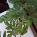 마한농장 이미지