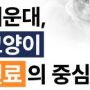 문 동물병원 이미지