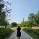도심에서 벗어나 힐링이 필요할 때 자라섬 남도 꽃정원(가는법)