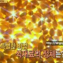 상봉동-023 티스토리