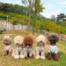 린넨 핸드메이드 의류 제작 이미지