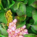 외양포공영주차장 이미지