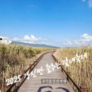 강진슈퍼 | 2025년 강진만 춤추는 갈대축제 실시간 후기 : 강진 갈대축제 : 강진 아이와 가볼만한 곳 : 강진축제