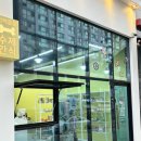 프레젠독(present dog) 이미지