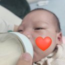 서구그린산부인과 산후조리원 퇴소 후 시작된 현실 육아, 신생아 관리사 비용과 방문시간 총정리
