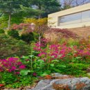 행주산성로 이미지