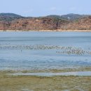 우포늪생명길 | [창녕]우포늪 둘레길(생명길) 걷기