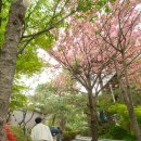 산정식당 | W-13 상견례 장소 식당 추천 ㅣ 김해 산정에서 가족사진 찍고 온 후기