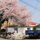 탑1리경로당 이미지