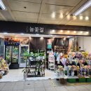 cu중구필동점 | 을지로 데이트 을지로 와인바 서어른 순대볶음과 와인 한 잔 아주 좋네 내돈내산