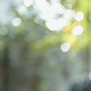 정관유한의원 이미지