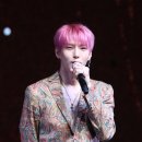 더레오 이미지