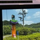 주말 나들이 가기 좋은 대전 오월드 자유이용권 솔직후기/사파리, 동물원, 플라워랜드 완전정복!