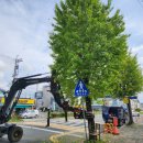 은행나무주유소 이미지