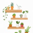 일상드로잉 이미지