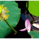 지사울공원 이미지