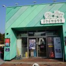 호천마을 Daum카페