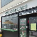 해운대유치원 | 부산애견유치원 해운대에서 맡겨보고 느낀 진짜 솔직 후기