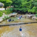 공주 가볼만한곳 충남 여행 공주 계룡산 동학사 계곡 따라 이미지