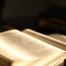 더공감행정사사무소 이미지