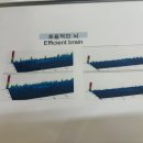 힐링핏영양