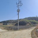 부등 농장 이미지