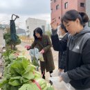꼬마농부 이미지