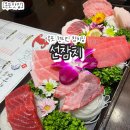 하랑참치 | [목포] 목포선참치, 반려견과 룸에서 즐기는 실장스페셜! 내돈내산 후기