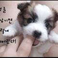 헤어앤비 이미지