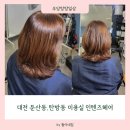 인텐즈헤어
