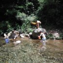 계곡품은펜션 이미지