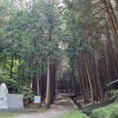 우드랜드 화장실 이미지